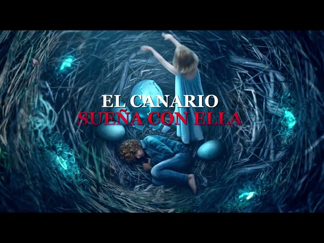 Vídeo relacionado con El sueño del Canario: Novela policíaca y de misterio (Agente especial Jane Barret nº 1)