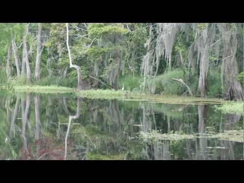 Sunset on Louisianne (Zachary Richard)