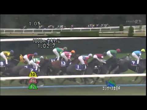 【メイショウマンボ】2013年_第38回 エリザベス女王杯