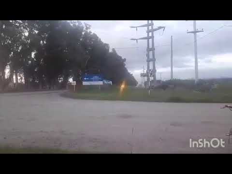 CAMIONES EN RP1 , SAN FRANCISCO , CORDOBA , ARGENTINA , VIDEO 307