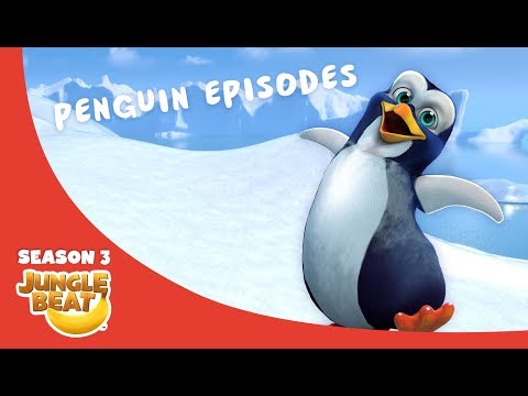 Playful Penguin  – JB S3 Animal Compilation #8