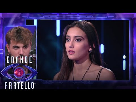 Big Brother - Alfonso D'Apice's words on Palma's Zeudi