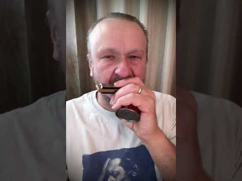 WHEN THE SAINTS #5 OldTimey Cross LostJohn Style played in D on a Hohner G - Filisko Method