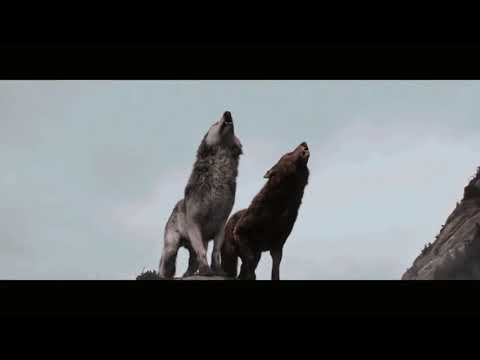 download lagu mp3 mp4 Srta X, download lagu Srta X gratis, unduh video klip Srta X