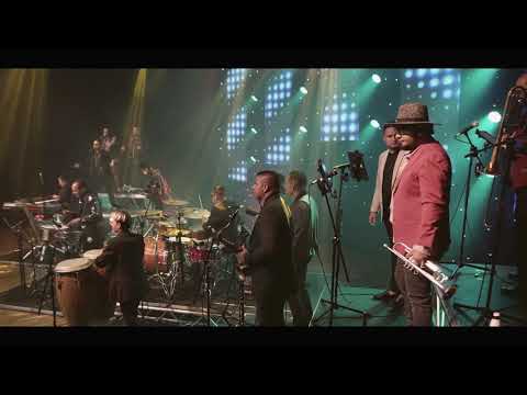 La Noche - Tributo al Son del Joe ( La Nómina del Pin) | Discos Fuentes (Video Original)