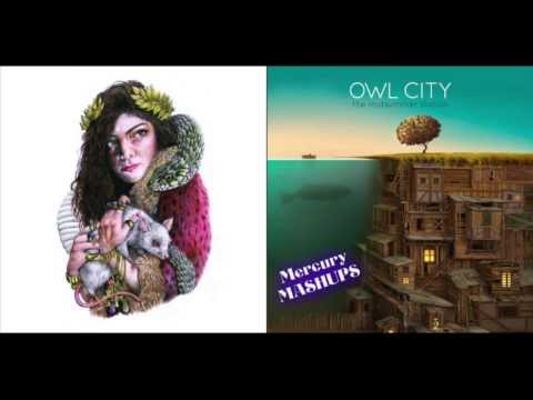 Lorde vs. Owl City- Royal Gold