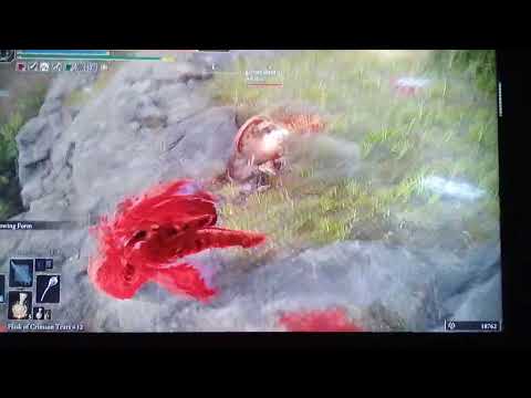 **elden ring OP pvp** Pro Melanidahn flows with Nox Hammer!