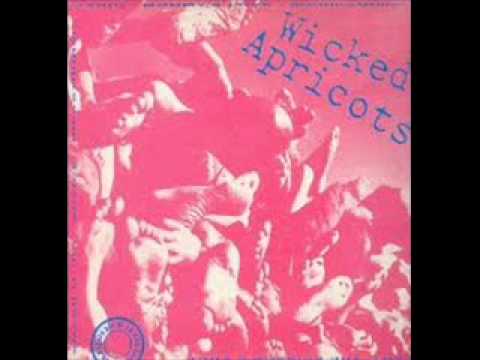 Wicked Apricots -  Mario