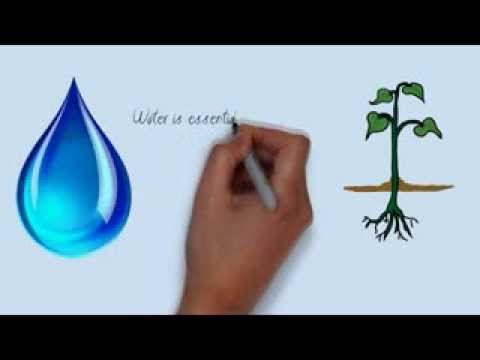 download lagu mp3 mp4 Importance Of Saving Water, download lagu Importance Of Saving Water gratis, unduh video klip Importance Of Saving Water