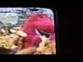 Barney Friends PBS