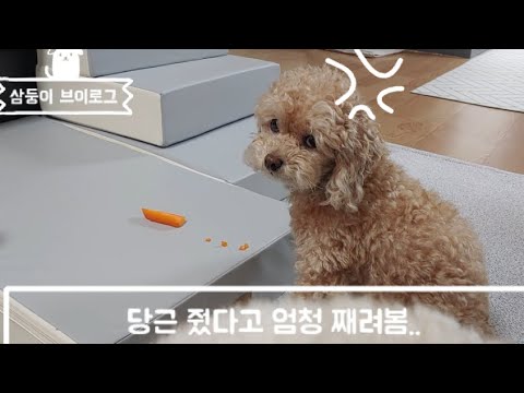 아이콘