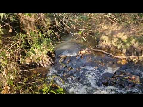UMA MINA RIO PIRAPÓ CAMINHADA ECOLOGICA ITAGUAJE