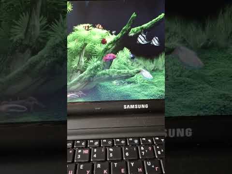 фото нетбук samsung n150p для офиса и соц.сетей 0