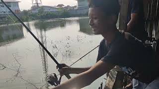 Download lagu Tanpa target Perdana kolam bg Hamid tgl 11/1/2026 tkt 120 RB jam 6 pagi belawan pajak baru mp3 Download lagu Tanpa target Perdana kolam bg Hamid tgl 11/1/2026 tkt 120 RB jam 6 pagi belawan pajak baru mp3