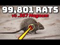 Is a 9mm Airgun Too Much Power for Rats?