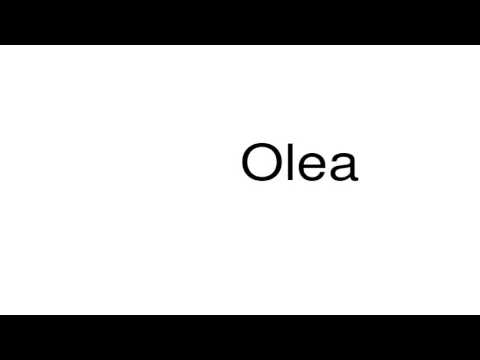 How to pronounce Olea