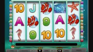 preview picture of video 'Dolphin Reef Slot - Casino Euro'