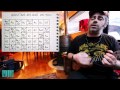 DANTON UKE-wasting my love on you (LIVEQUEST ...