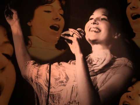 Ervina Štelcl Novosel SVE ŠTO KAŽEŠ