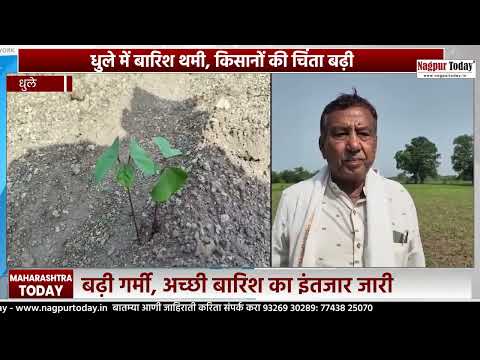 फसलों पर संकट के बादल #MaharashtraNews #RainUpdate #Monsoon #WeatherNews #FarmerNews #Kisan #news