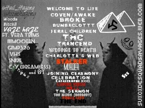 Vaze Haze - Cult Culture