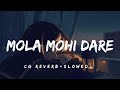 MOLA MOHI DARE CG REVERB SLOWED PURVI CHANDRAKAR CG SONG