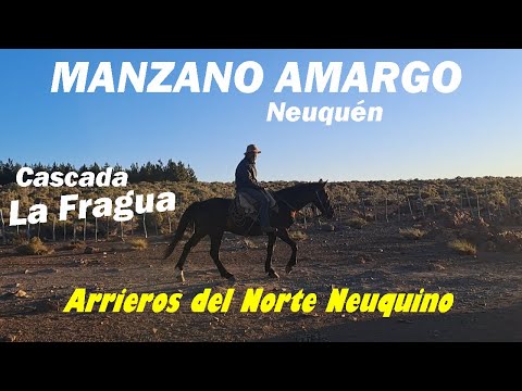 Manzano Amargo, Neuquén