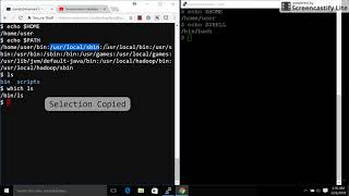 Environment Variables in UNIX or Linux - Part 2 of 2