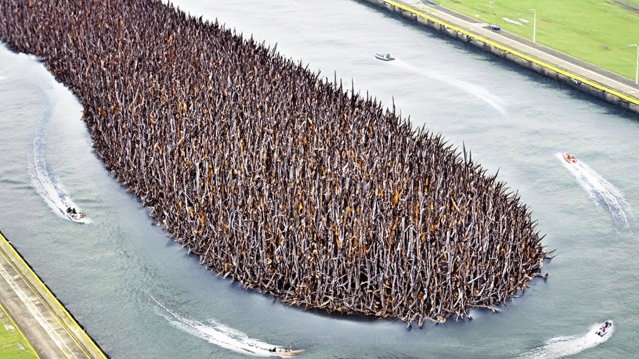 U.S. Farmers Put Billion Gallons of Water on a Lithium Field, 20 Years Later the Result Was Shocking