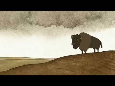 Roamin' an animated short film  http://kck.st/2cY4tSs