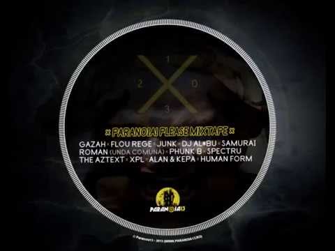 Junk cu romaN - Printre cuvinte | prod. gAZAh I I Paranoia! Please (Mixtape 2013)