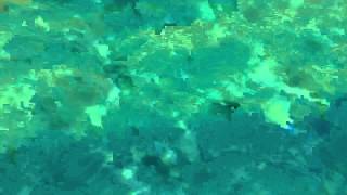 preview picture of video 'Rodi - Golden Beach underwater'