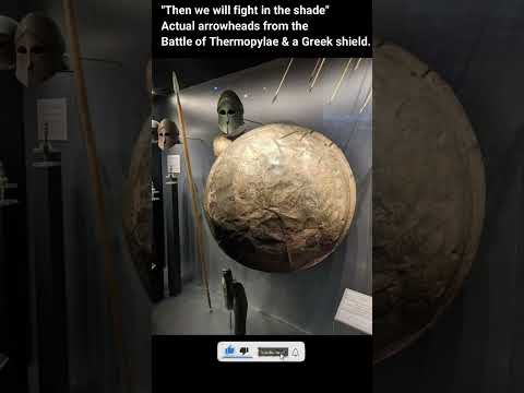 "Then we will fight in the shade"