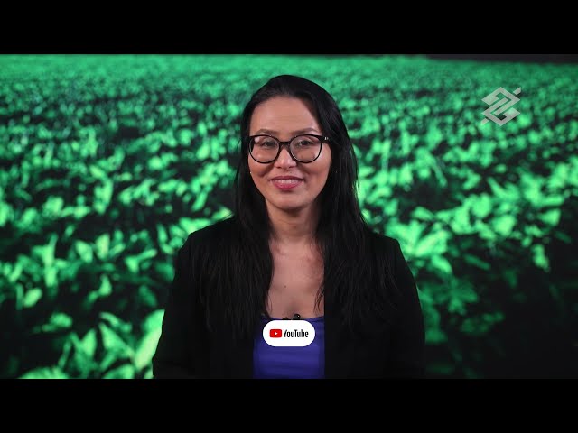MP 1.376/2026: nova linha para composição de dívidas rurais