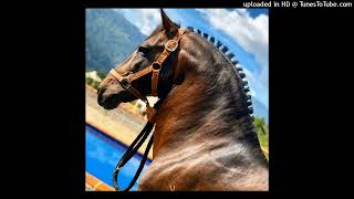 ENVILECIDA ANTONIO AGUILAR