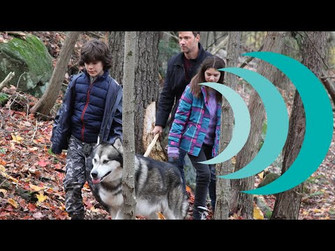 afbeelding Nederlands gesproken trailer