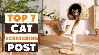 7 Best Cat Scratching Posts to Save Your Furniture