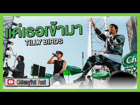 แค่เธอเข้ามา - TillyBirds (Live at เชียงใหญ่เฟส2)