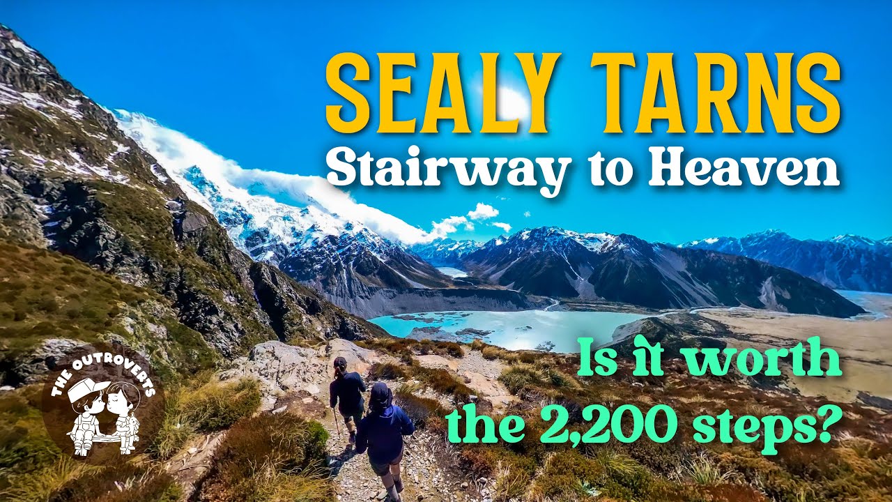 Experience a virtual hike along Sealy Tarns Track.