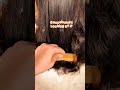 Cleaning lice #lice #shortsviral #shortsvideo #shortsfeed #shorts