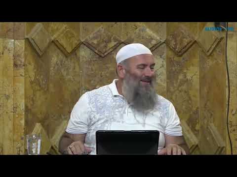 Analizë - Pse nuk po vjen Fitorja? - Hoxhë Bekir Halimi