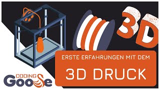 Erste Erfahrungen mit dem 3D Drucker - Aufbau und erste Drucke - Creality Ender 3 v2
