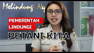 Download lagu The Role of Government and Trade Risks for Farmers mp3