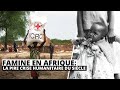 FAMINE EN AFRIQUE LA PIRE CRISE HUMANITAIRE DU SIÈCLE