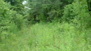 preview picture of video 'Food Plot on stripper cut'