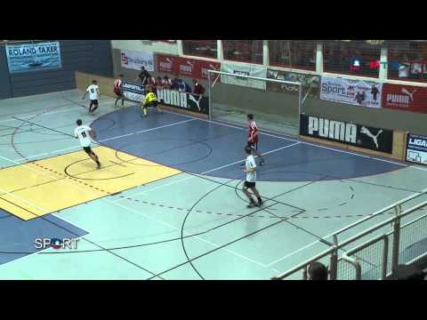 Salzburger Stier 2014, www.rts-salzburg.at