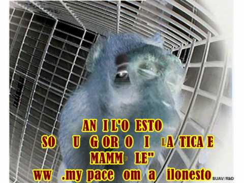 ANTI L'ONESTO - "Solo un giorno di plastica e mammelle" feat. TANIA aka RABBIA  - L'UOMO INDUSTRIA