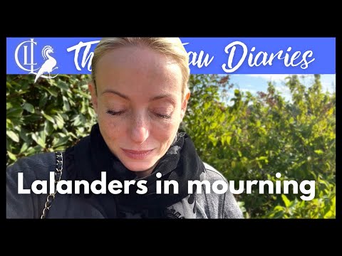 DEATH COMES TO THE CHATEAU