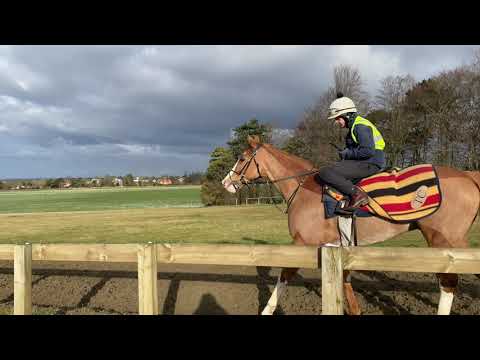Balgair - Warren Hill - 10th February 2021