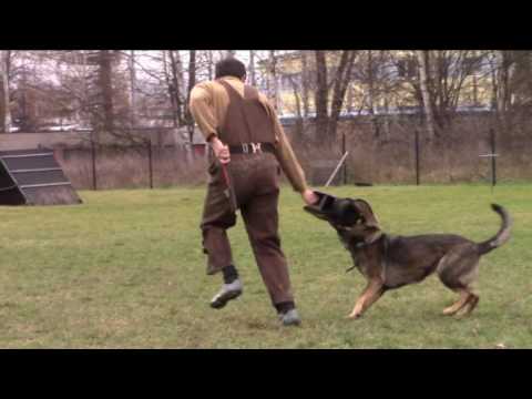 Dixa Ja Na Ka  - protection - 12/2016